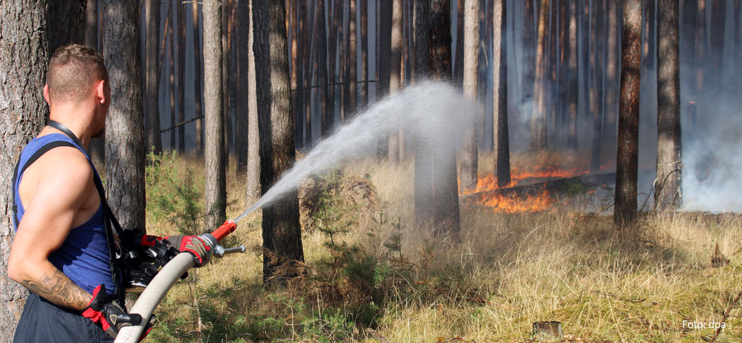 Waldbrand, Foto: picture alliance